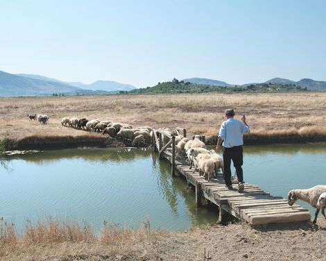 Gänsehautmomente auf Bergpfaden und Sternenabende im Dorf-1