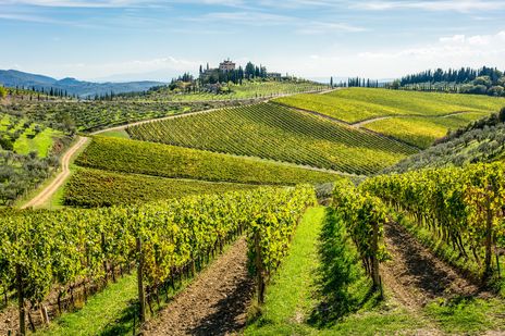 Chianti in der Toskana