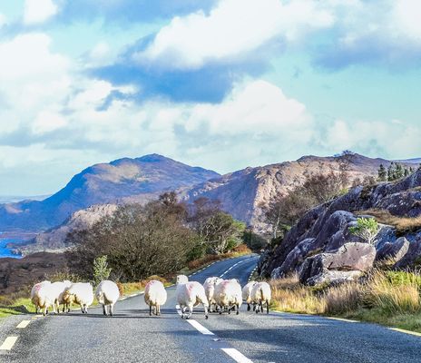 Irland