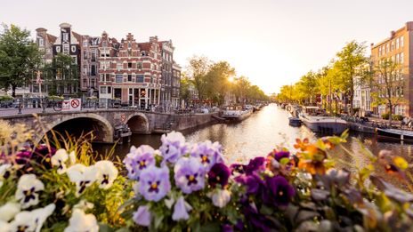 Gracht mit Blumen und historischen Häusern in Amsterdam
