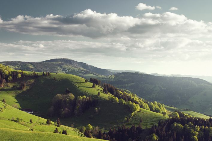 Landschaft im Schwarzwald