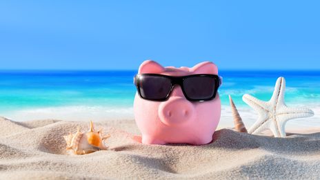 Sparschwein am Strand