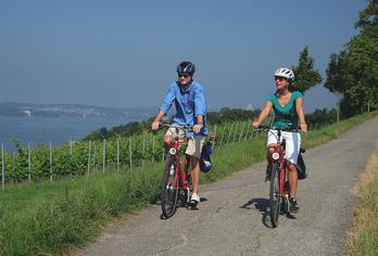Bodensee-Radweg