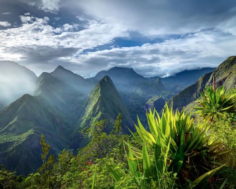 mit MS Hamburg ab/an Hamburg inkl. 1 Galanacht in Hamburg-1