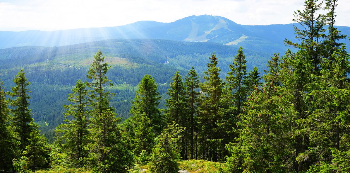 Landschaft im Bayerischen Wald
