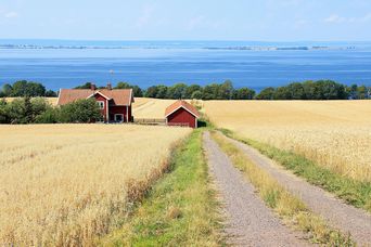 Wiese in Schweden