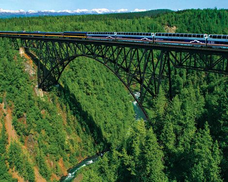 Kreuzfahrt mit Nieuw Amsterdam von Whittier bis Vancouver inkl. 3 Nächte Vorprogramm Anchorage & Denali Nationalpark-0