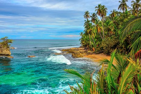 Strand mit Palmen auf der Isla del Caño