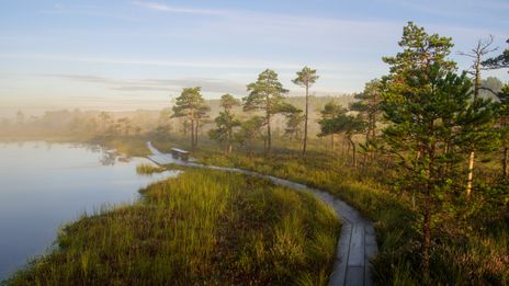 Sooma Nationalpark in Estland