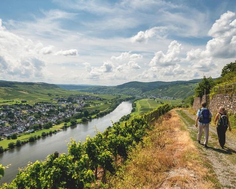 Wandern vom Moselpanorama zum Rheinblick-0
