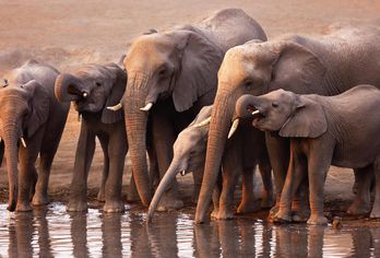 Namibia