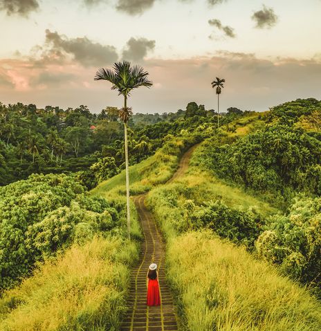 Frau im Reisefeld in Ubud