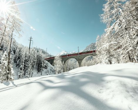 Panoramazugfahrt mit 7 Nächten-0