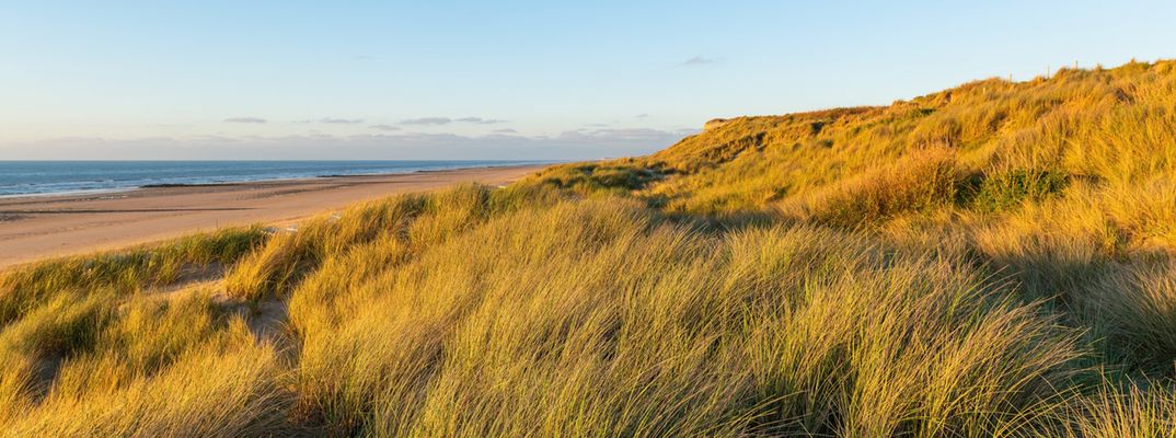 Dünenlandschaft und Strand bei Ostende an der belgischen Nordseeküste
