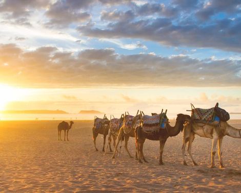 Königsstädte und Wüstenzauber-0