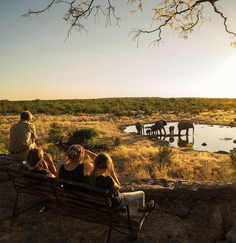 Eine Familie beobachtet eine Elefantenherde am Wasserloch im Etosha Nationalpark während der Abendstunden