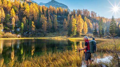 Mann beim Wandern am See im Wald