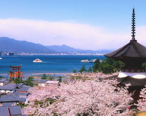 Große Eindrücke in kleiner Runde - Zen, Züge, Zauber-2