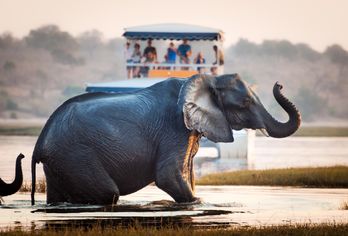 Südafrika, Botswana & Simbabwe
