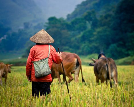 Zwischen Tempeln, Tropen & Traumstränden-1