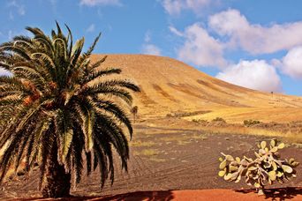 Timanfaya Nationalpark auf Lanzarote