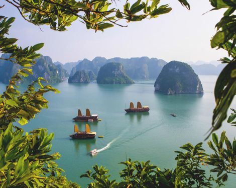 Von der Dschunke ins Dschungelgrün-0