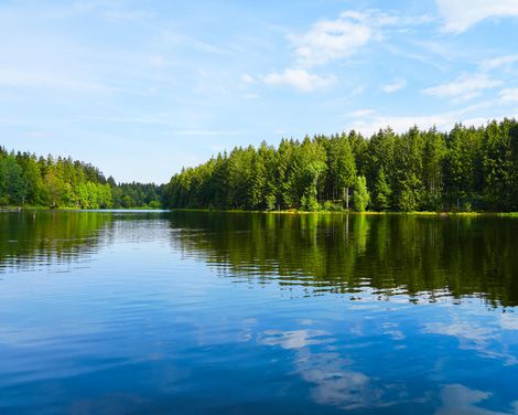 Erholungsurlaub im Hotel Walpurgishof-1