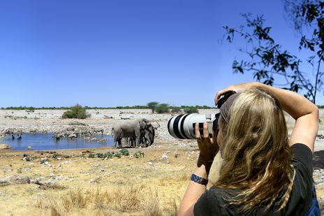 Reisende fotografiert Wildtiere am Wasserloch im Etosha-Nationalpark in Namibia