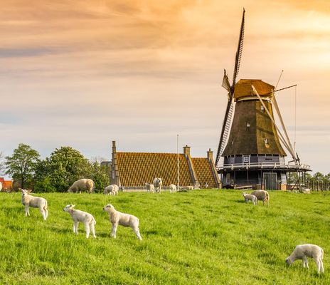 Niederlande - Nordroute