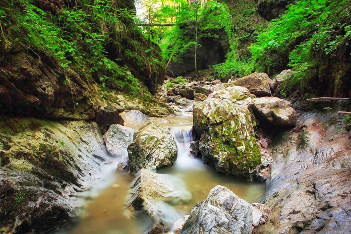 Gebirgsbach im slowakischen Nationalpark mit Felsen, Moos und klarem Wasser