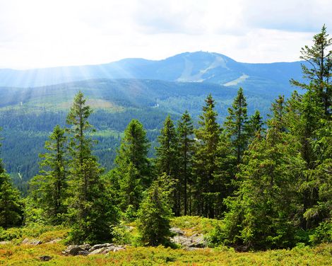 Urlaubsspaß im Landhotel Rosenberger-1