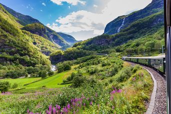 Die Flambahn schlängelt sich durch die norwegische, sattgrüne Landschaft