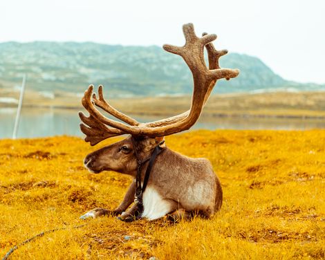 Kreuzfahrt mit der Costa Favolosa ab/an Hamburg-1