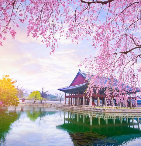 Tempel in Südkorea