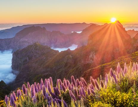 Sonnenaufgang auf einem Berg in Madeira