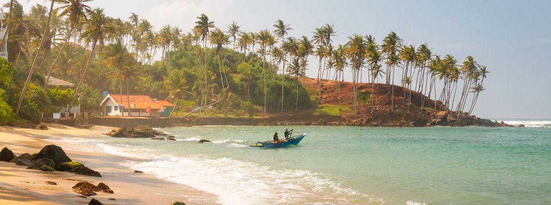Palmenstrand in Mirissa an der Südküste Sri Lankas mit goldenem Sand und klarem Meer