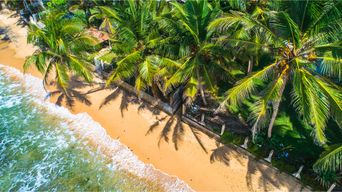 Tropischer Strand in Unawatuna mit türkisblauem Meer und Palmen an der Südküste Sri Lankas