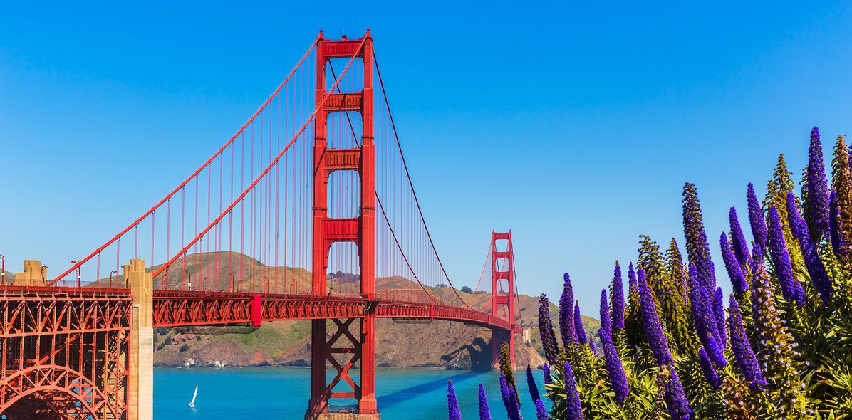 Golden Gate Bridge und Blumen