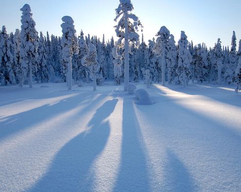 Elche, Eis und ein Schritt über den Polarkreis-1