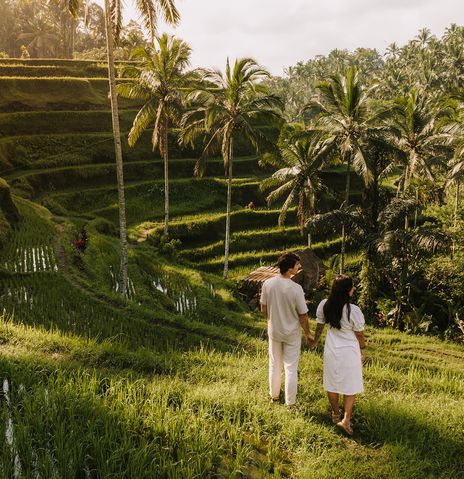 Paar spaziert durch ein Reisfeld auf der Insel Bali