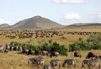 Kenia