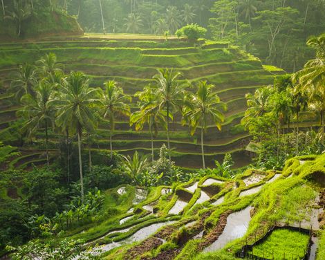 Von magischen Tempeln Ubuds bis zu den Traumstränden Seminyaks-3