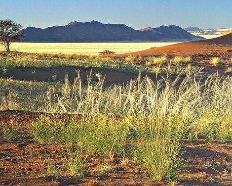 Eine Reise voller Kontraste-2