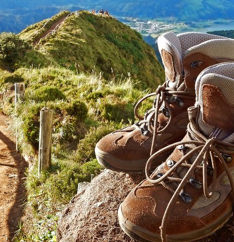 Abbildung