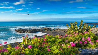 Strand in Teneriffa