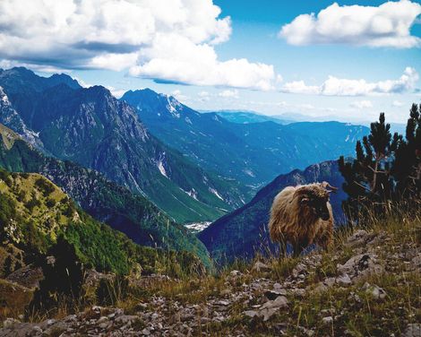 Einzigartige Entdeckungen im Balkan-0