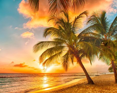 Kreuzfahrt mit der MSC Opera von Barcelona bis La Romana