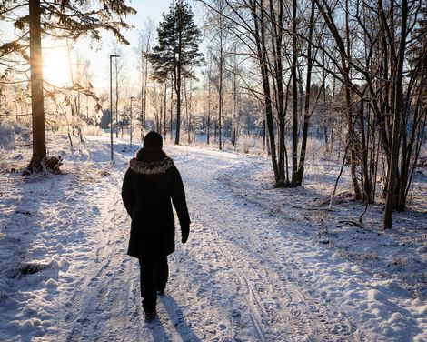 Kreuzfahrt mit MS Hamburg ab/an Hamburg-0