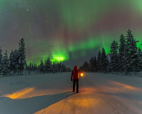 Kreuzfahrt mit MS Hamburg ab/an Kiel oder ab/an Hamburg-3