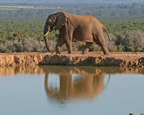 Afrikas Vielfalt: Von Kapstadt zu den Viktoriafällen-1